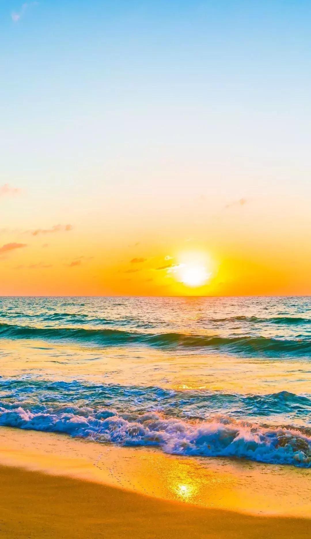 免费！半价！坐山东高铁环形列车，这些景区凭车票统统享优惠！