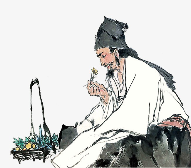 普洱茶黄片，你真的了解？