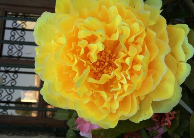 心理测试测你是不是享福命,测试测出你是富人命还是穷苦命