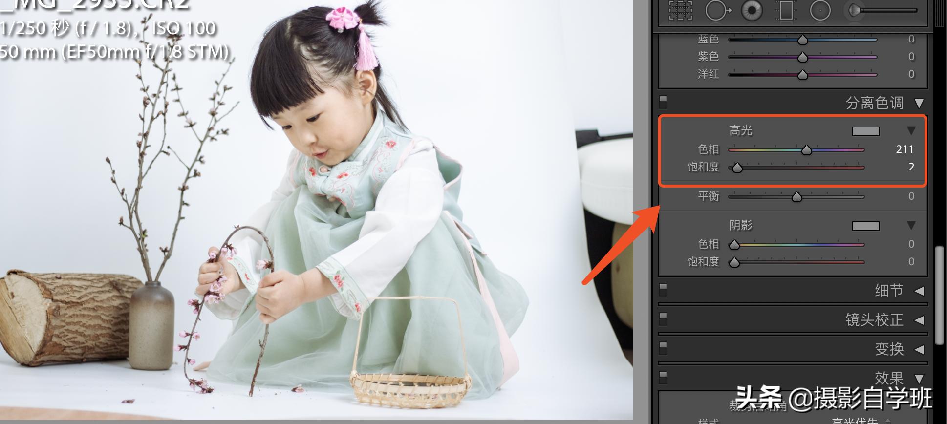 儿童拍稻田照片怎么拍出高级感,儿童摄影居家人像调色教程