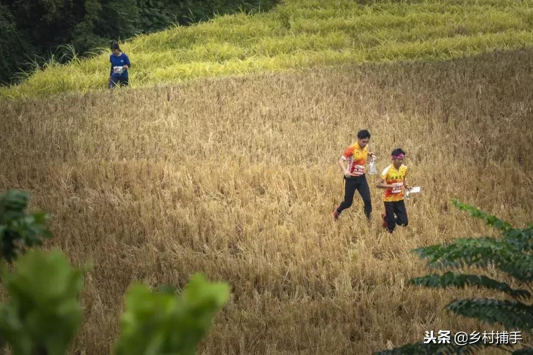 南粤古驿道拍摄后记,2018南粤古驿道展示