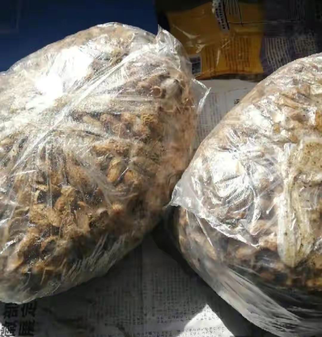 家庭养花的垃圾处理,垃圾养花有哪些好处