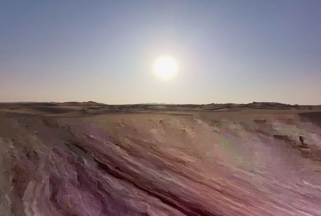 中国大沙漠的淘金客：*子骗**、教授与巨头