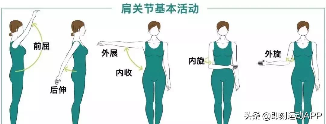 肩内旋肩膀疼，这些问题不能错过！不解决只能让你变丑又受伤