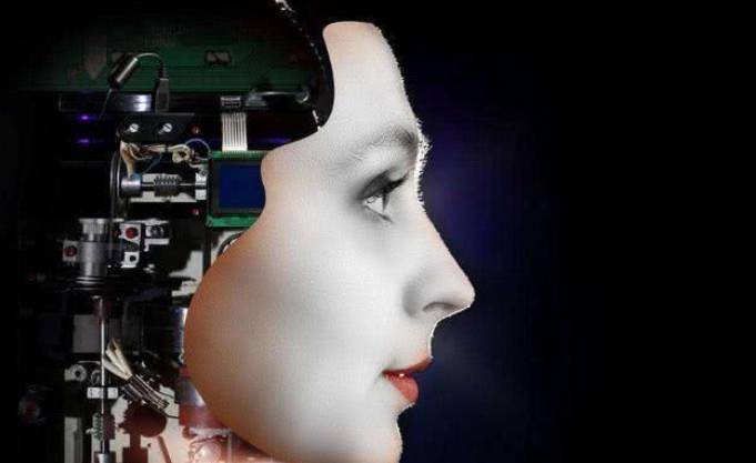 日本仿真机器人的价格,日本智能仿真保姆机器人最新款