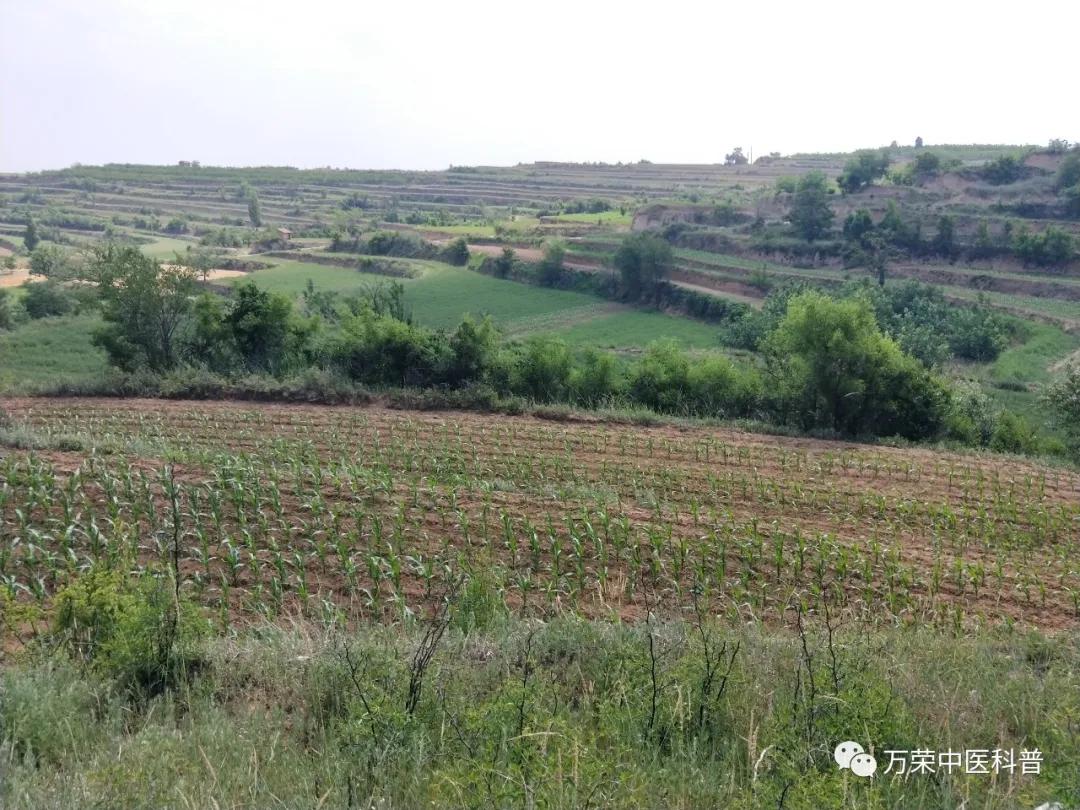 跟我回家在线免费看,跟我回家免费看