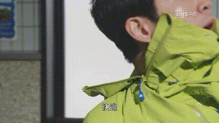 一集弃，还能神反转，《机动搜查队》真香