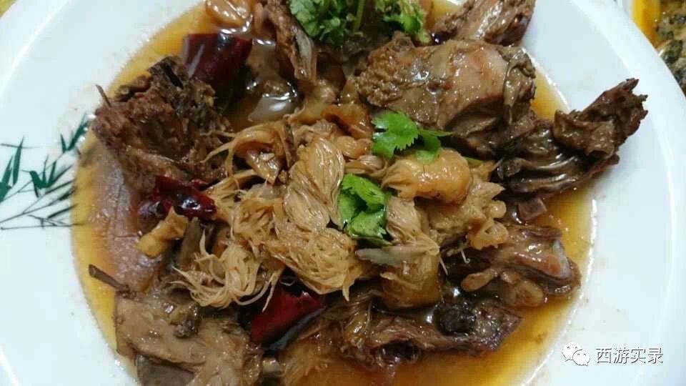 自驾环游世界第一人,自驾全球第一人