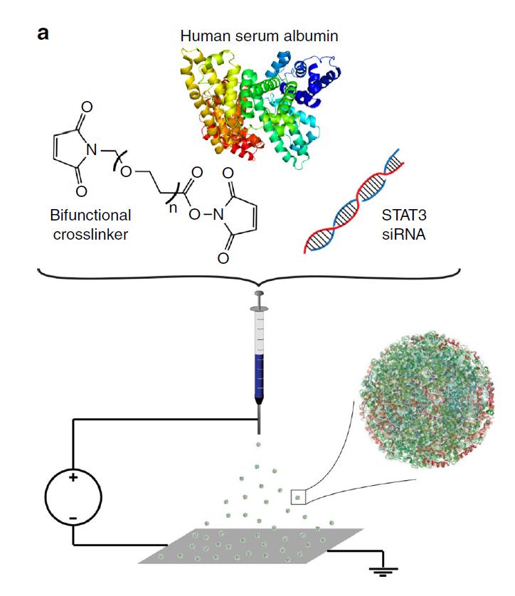 恶性脑肿瘤没扩散能治愈吗,脑肿瘤有自己消失的吗