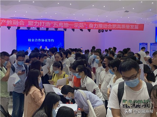 合肥市薪资待遇最好的工作单位,合肥年薪50万的岗位