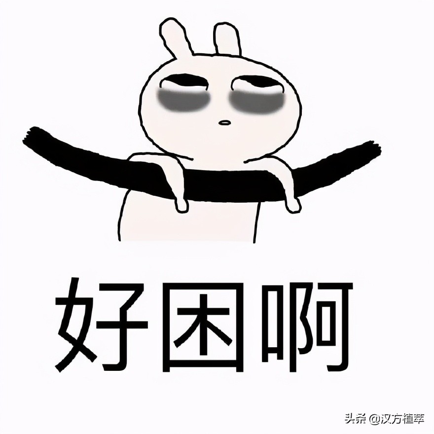 中午不睡下午崩溃原话,中午不睡下午崩溃