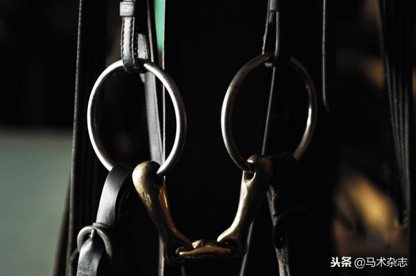 充满智慧的衔铁！马身上的装备越少，说明骑手的骑术越高