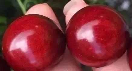 什么木质手串不开裂,手串开裂怎么修复