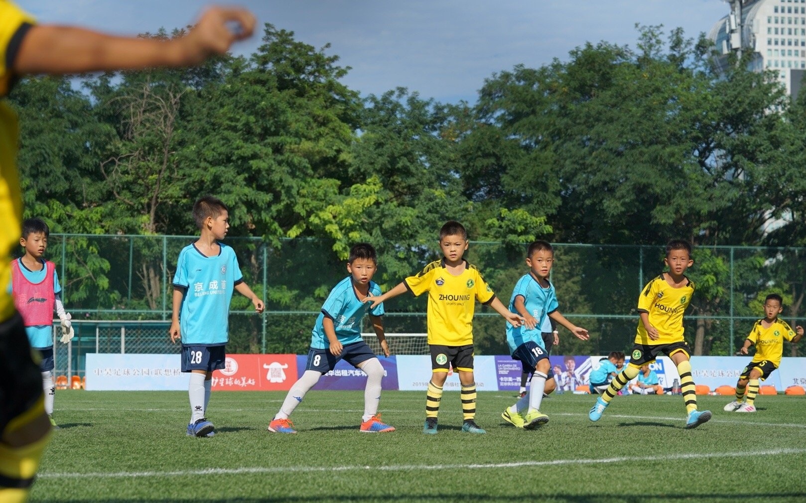 董路最新真实消息,董路怒批足协完整版