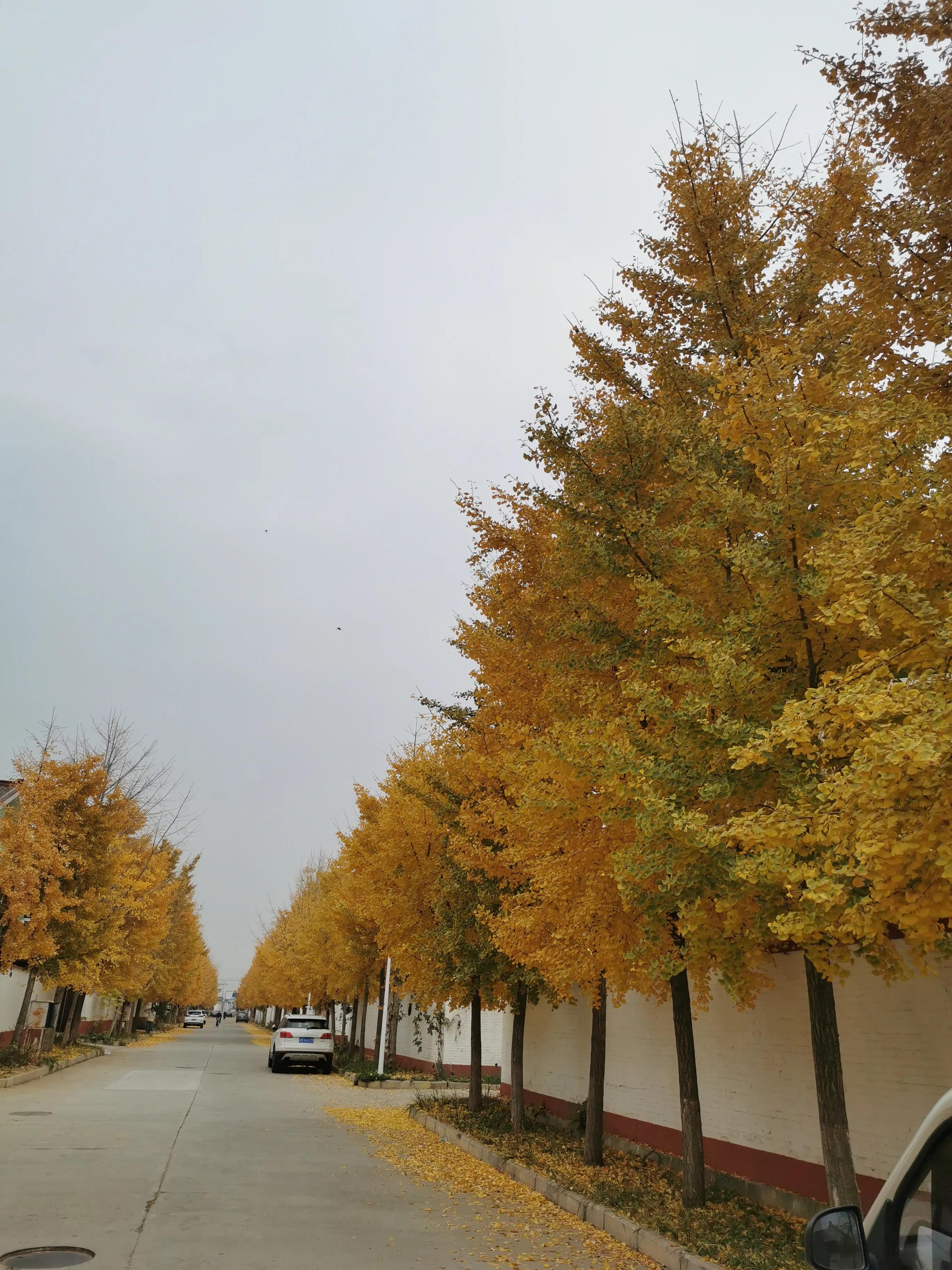 北京房山最美乡村项目,韩村河是中国十佳乡村吗