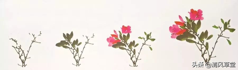 少儿国画花卉画法视频,各种花卉的100种画法
