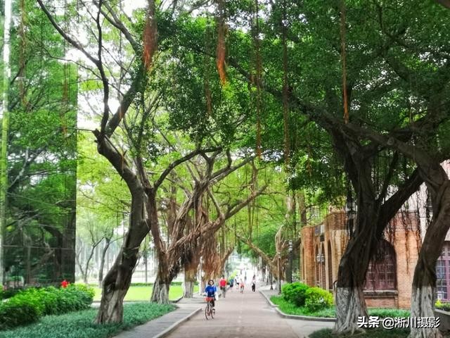 中国最美丽的校园照片,中国最美丽的校园中山大学南校区