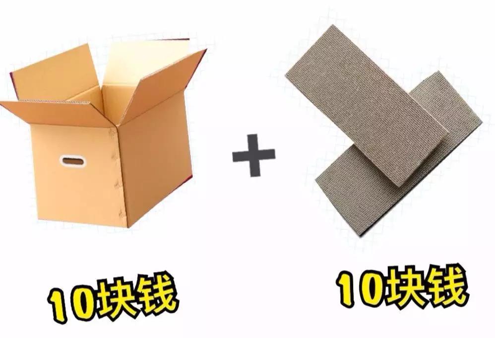 最实用猫抓板,如何挑选猫抓板