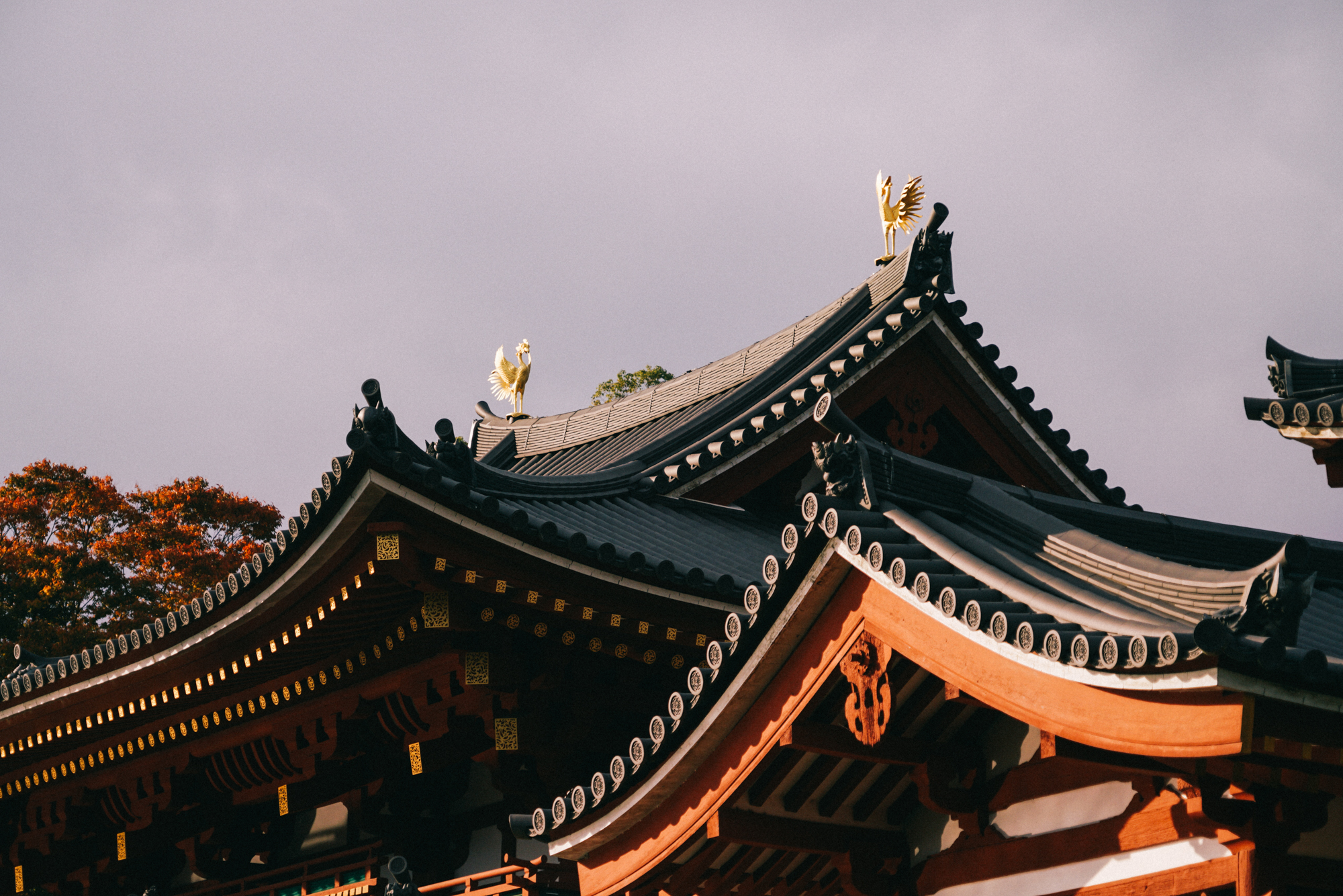 日本京都最值得去的地方,日本京都值得去的地方