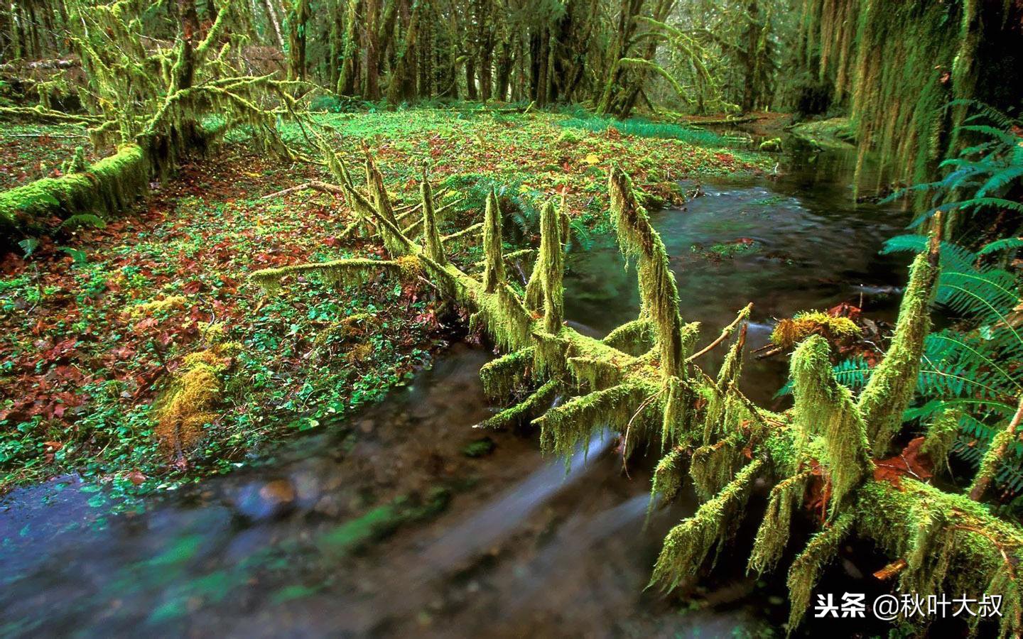如果自己被冤枉，牢记这五点，老板满意，同事服服帖帖
