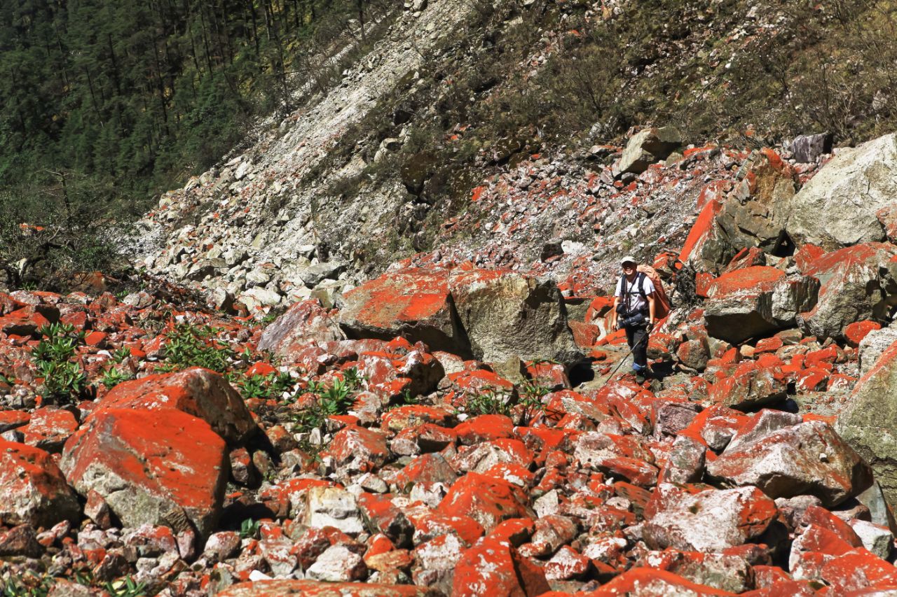 从高山之巅到深海之渊,流石滩徒步攻略
