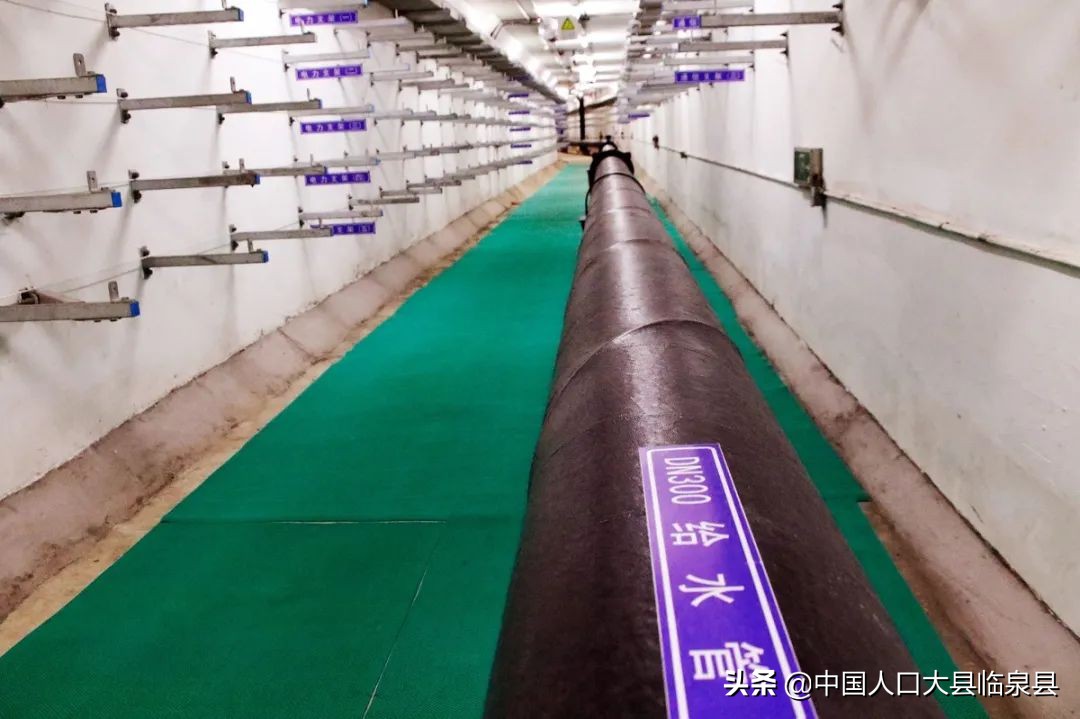 临泉县未来的样子！期待越来越好