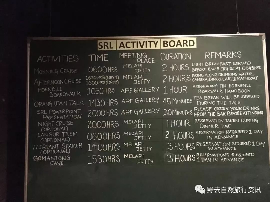 待疫情平息,和孩子一起探索“失落的世界”婆罗洲原始雨林