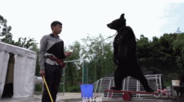 富二代人骨皮包的真实图片,人骨皮包真相曝光