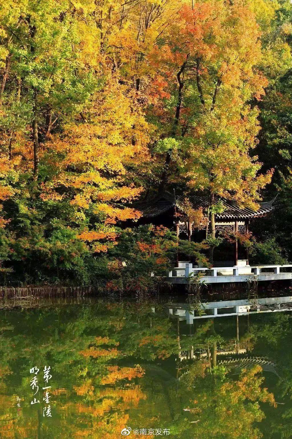 初春南京一日游攻略导图,南京秋景一日游的攻略