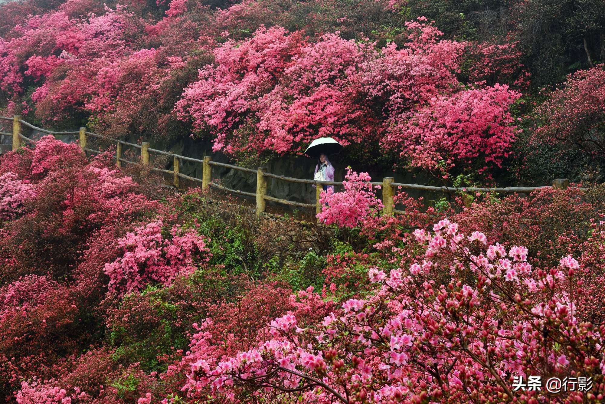 云雾山武汉,武汉汉口北打卡网红景点