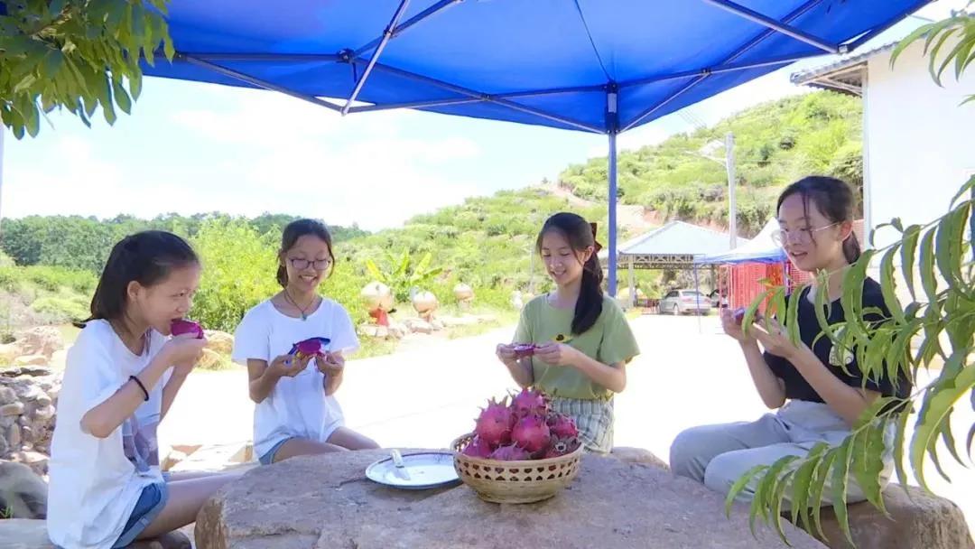 怀集旅游景点自驾游攻略,怀集桥头旅游景点推荐
