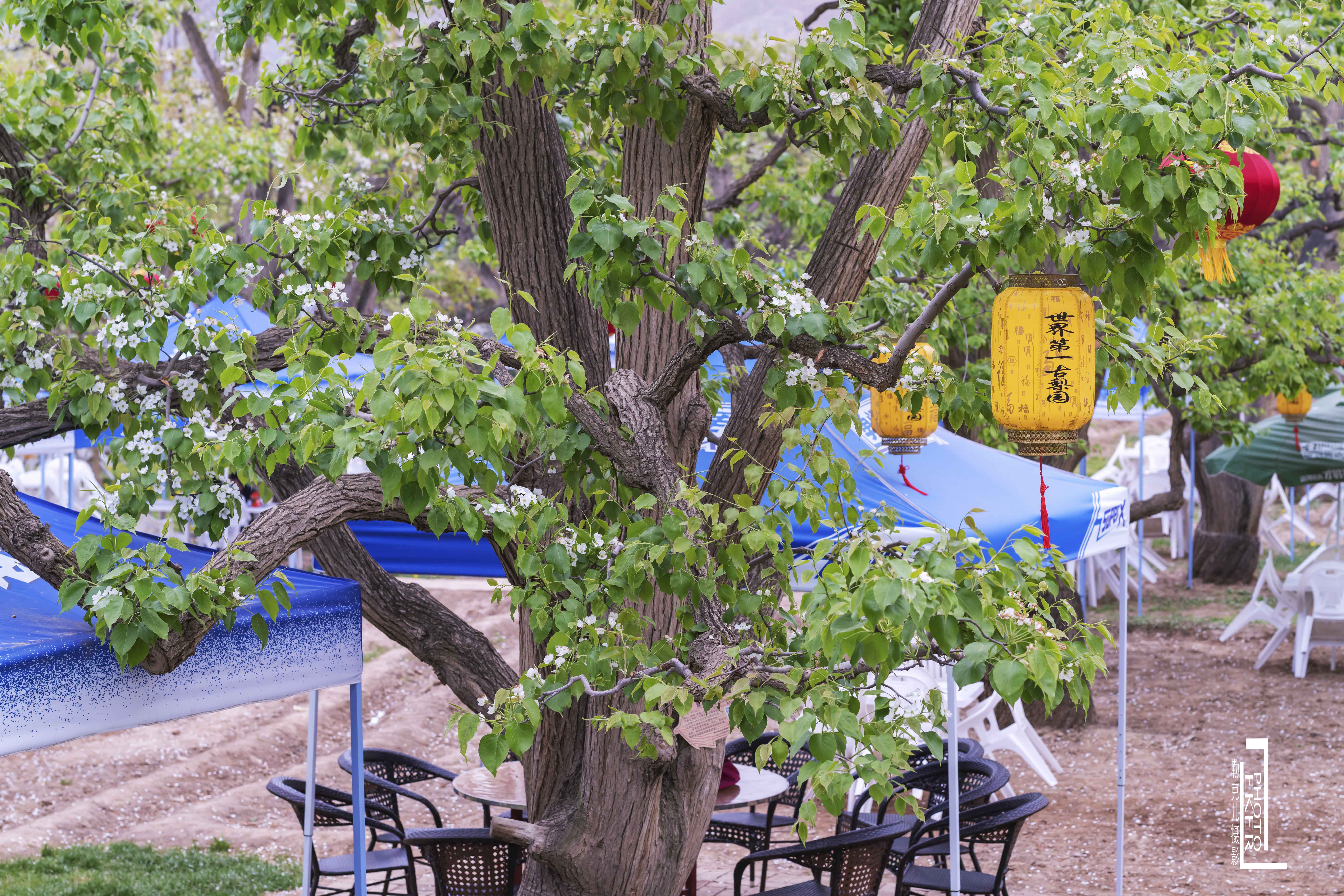 大西北戈壁滩怎么形成的,我国西北地区大戈壁滩形成原因