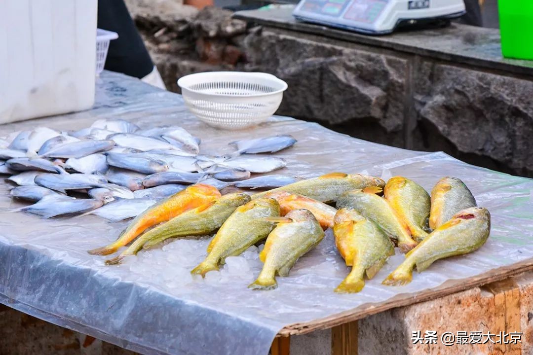 带你逛北京最大早市,北京正宗早市推荐