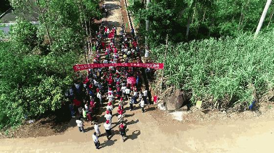 知青下乡49周年纪念活动,纪念知青下乡50周年图片图文