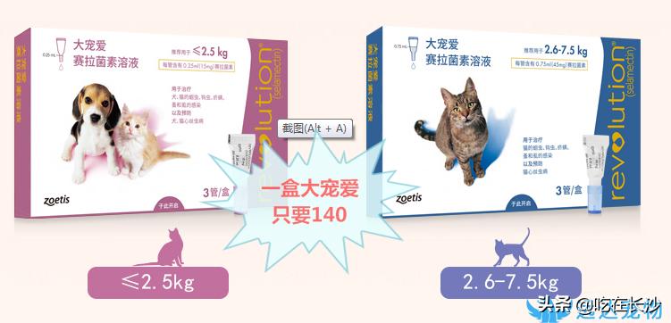 猫猫体内驱虫和体外驱虫多久一次,宠物驱虫体外教程