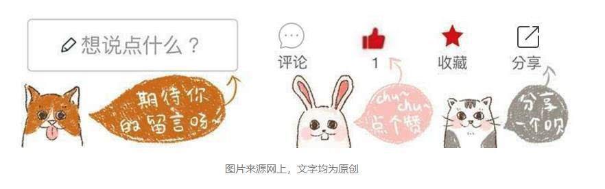 辟谣狗狗,狗狗辟谣