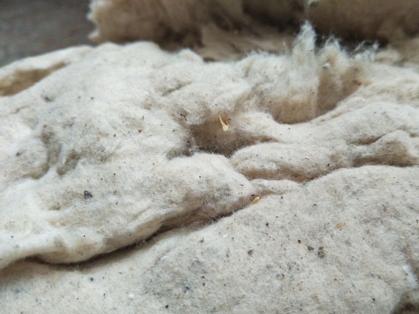 你知道哪些正规暴利的生意？牛仔裤的暴利，服装人大揭秘