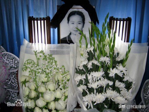 大案纪实系列中国大案,合集国内真实大案