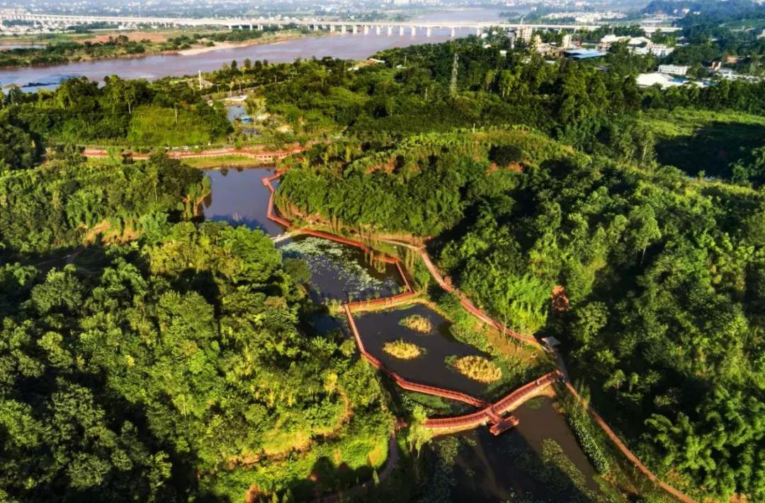 乐山市生态文明,庆祝新中国成立70周年特辑宣讲