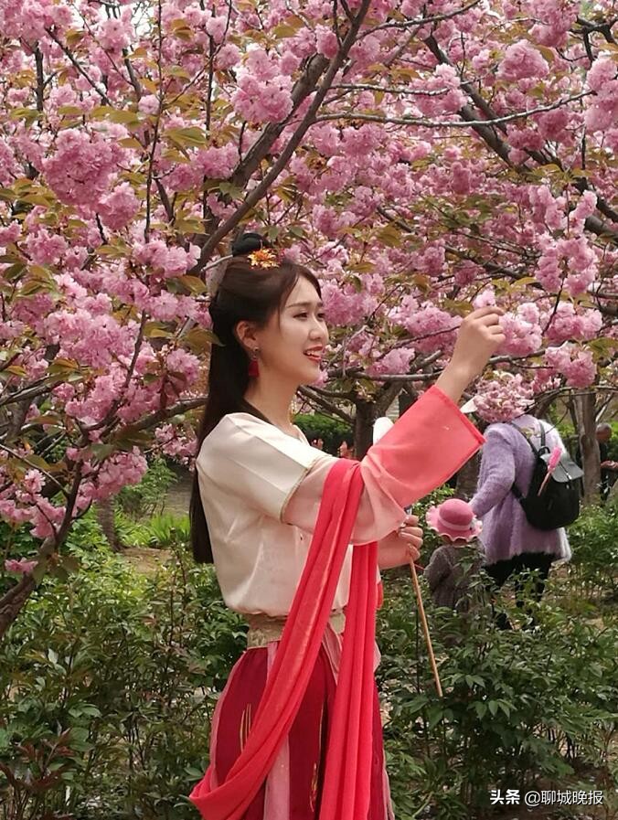 金匮公园看樱花游玩攻略,聊城姜堤乐园樱花什么时候开