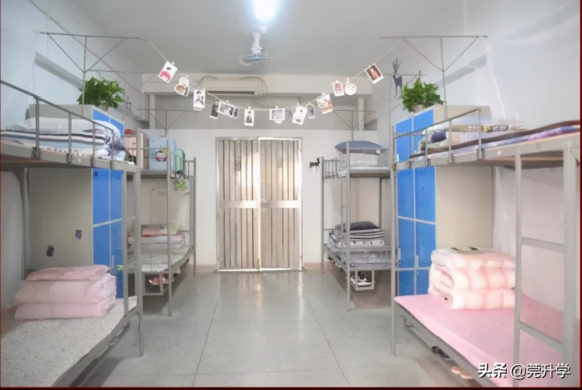 东华中学宿舍视频,东莞东华中学宿舍图片