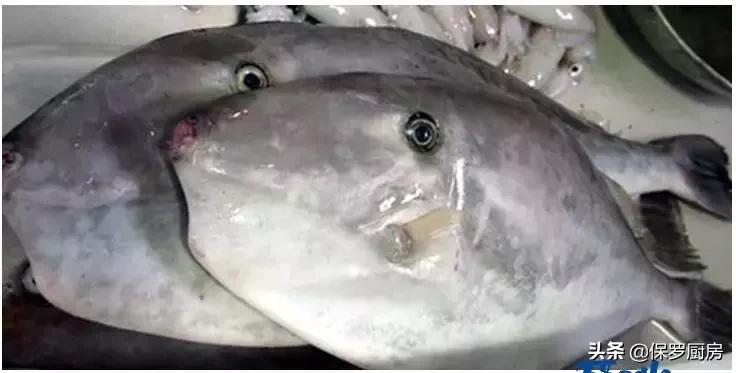 海鲜大荟萃,常见贝壳类海鲜