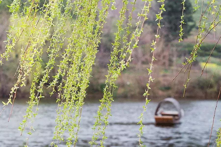 中国最美的书赏析,中国最美的十本书