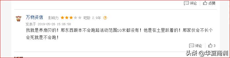 扇贝跑路事件,国资入主后獐子岛的扇贝还会跑吗