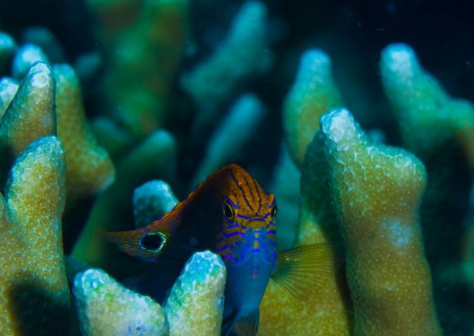 海底你不知道的东西,海底世界东海龙宫