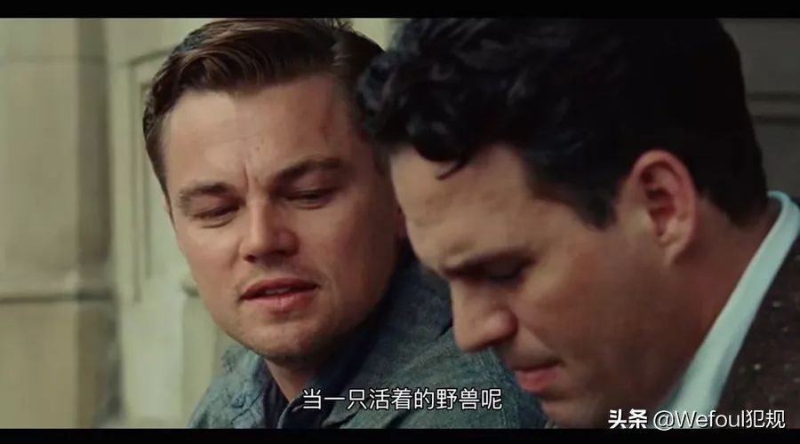 专栏杨震,杨震足彩专栏