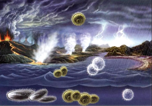 一口气搞懂生命起源