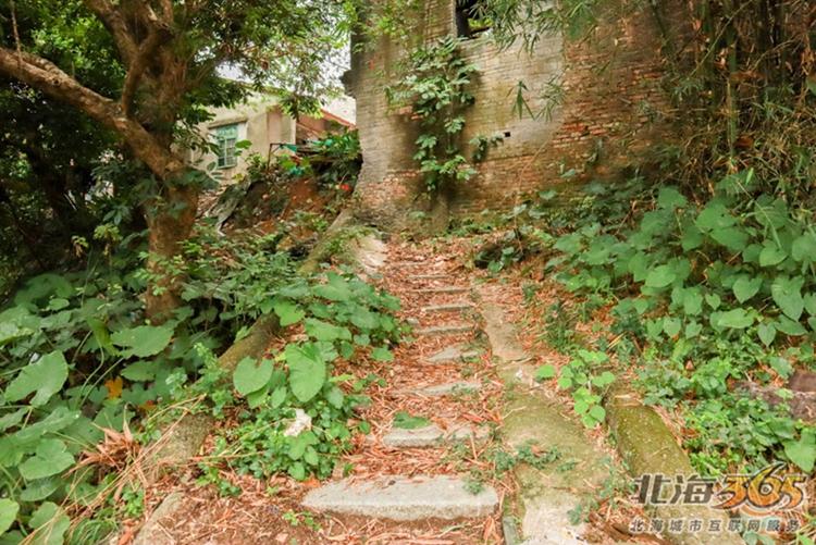 高德往事:重返旧时光,探索李桃栏深院大宅不为人知的过往