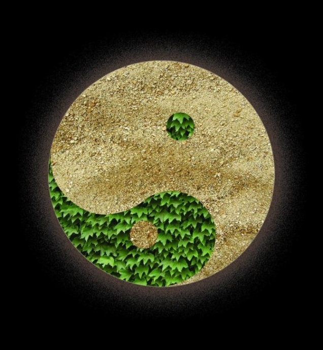 方与圆直播间,方与圆丁远峙