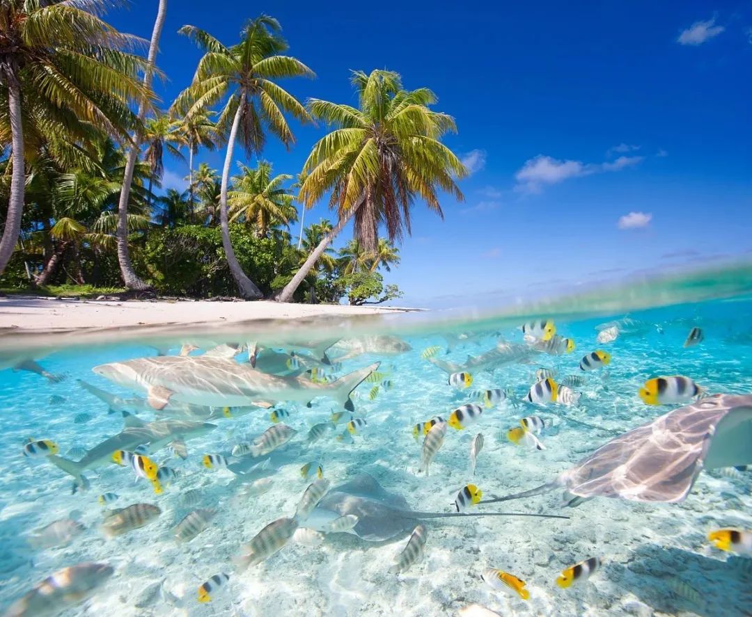 全球最适合蜜月旅行十大海岛,十大海岛度假胜地